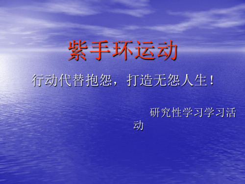 紫手环运动