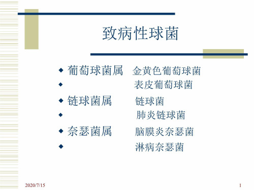 肺炎链球菌检验