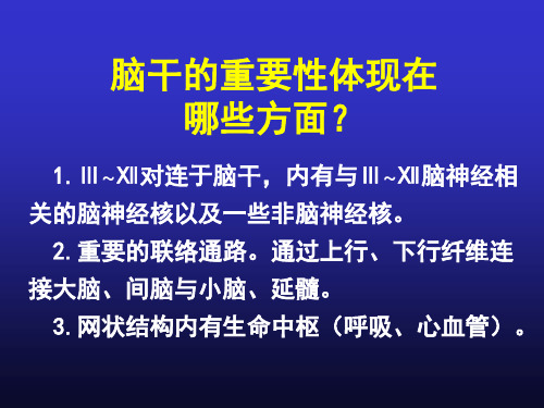 间脑、端脑解剖学要点