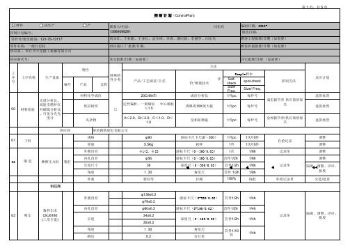 121-75-13117 控制计划