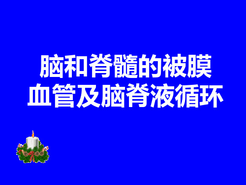 脑和脊髓被膜血管及脑脊液循环