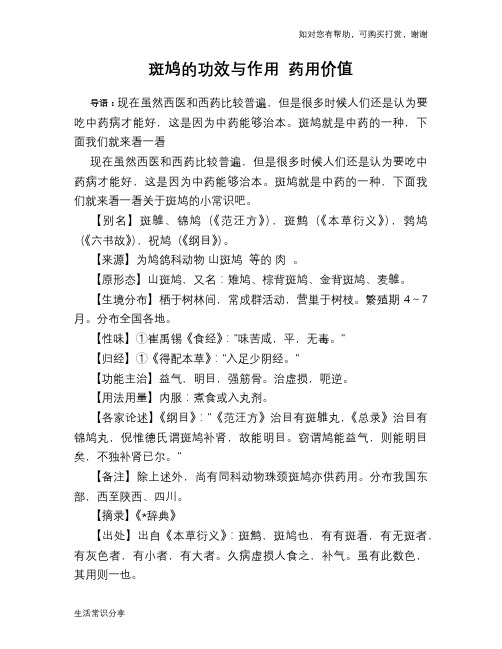 斑鸠的功效与作用 药用价值