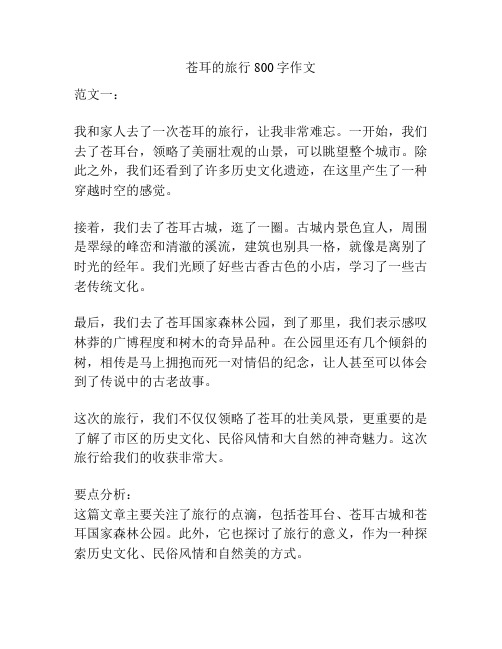苍耳的旅行800字作文
