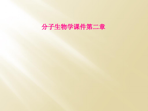 分子生物学课件第二章