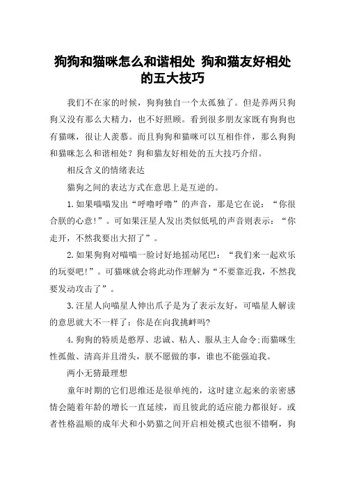 狗狗和猫咪怎么和谐相处 狗和猫友好相处的五大技巧