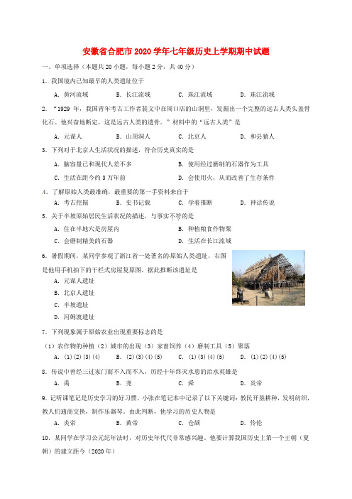 安徽省合肥市2020学年七年级历史上学期期中试题 新人教版