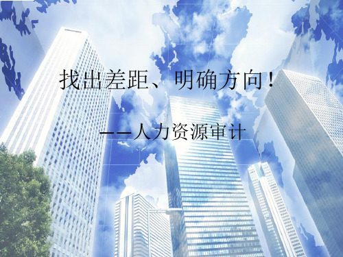 培训——人力资源审计v10 ppt课件