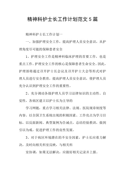 精神科护士长工作计划范文5篇