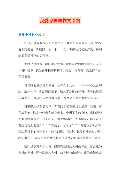 我爱香樟树作文2篇