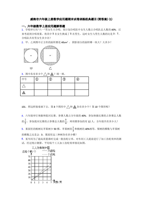 威海市六年级上册数学应用题期末试卷训练经典题目(附答案)(1)