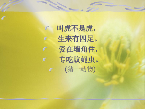 21.小壁虎借尾巴 PPT课件