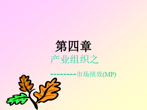 产业组织之市场绩效