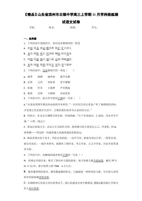 山东省滨州市北镇中学高三上学期11月学科统练测试语文试卷