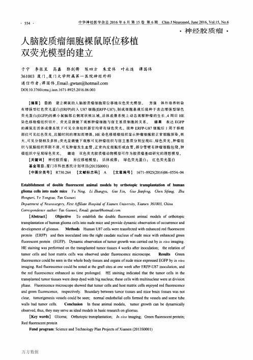人脑胶质瘤细胞裸鼠原位移植双荧光模型的建立重点