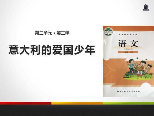 《意大利的爱国少年》精美版课件