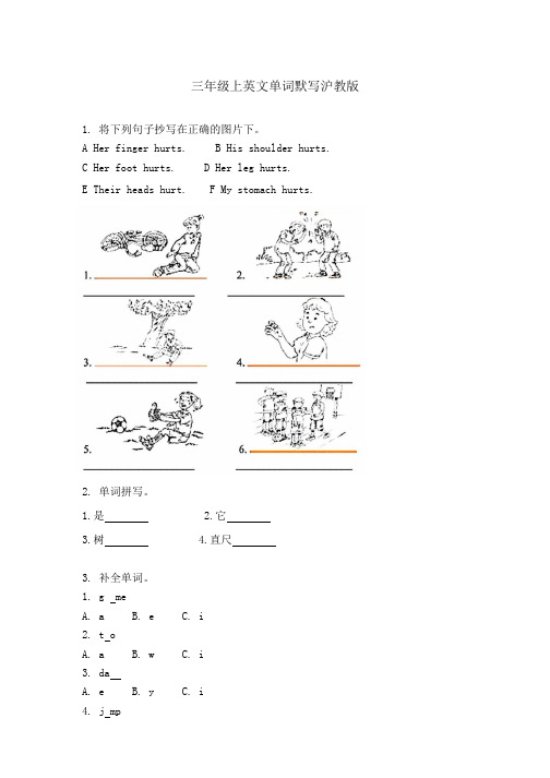 三年级上英文单词默写沪教版