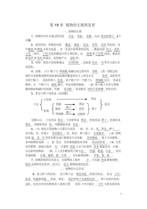 八年级生物上册第19章植物的生殖和发育复习提要及学案(无答案)(新版)苏科版