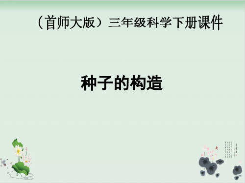 三年级下册科学课件13.种子的构造首师大版(共21张PPT)