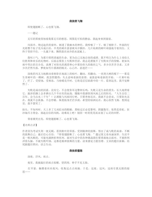 成都市中考满分作文-2008年成都市中考满分作文汇总
