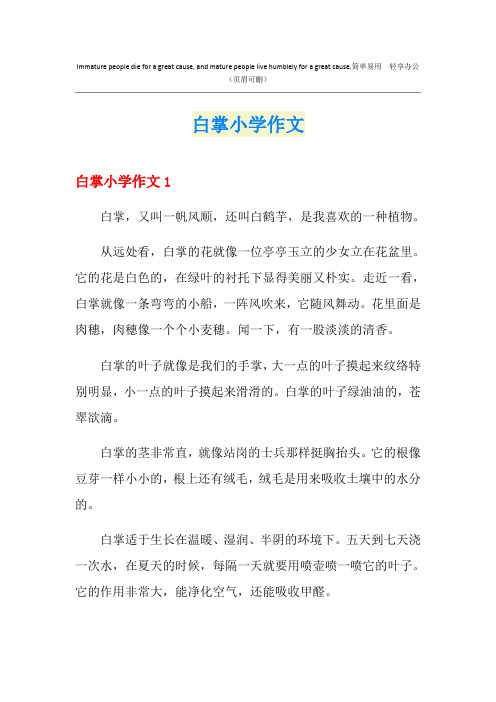 白掌小学作文