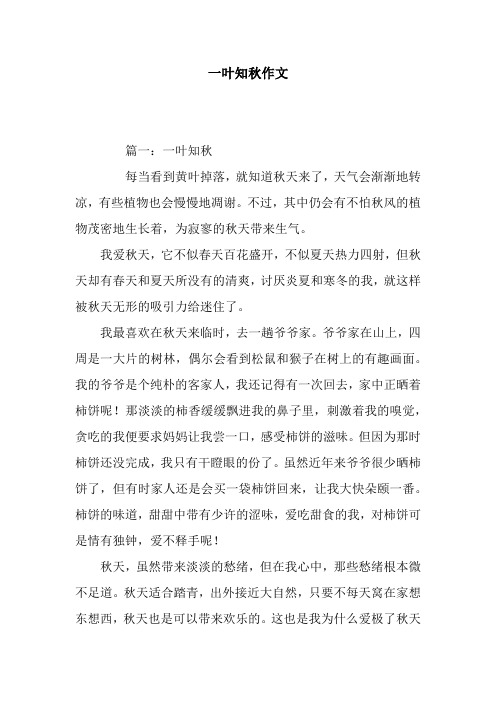 一叶知秋作文