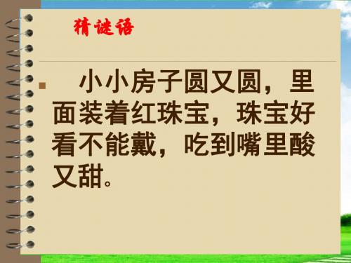 新版苏教版三上三年级语文上册石榴第一二课时课件 (1)课件