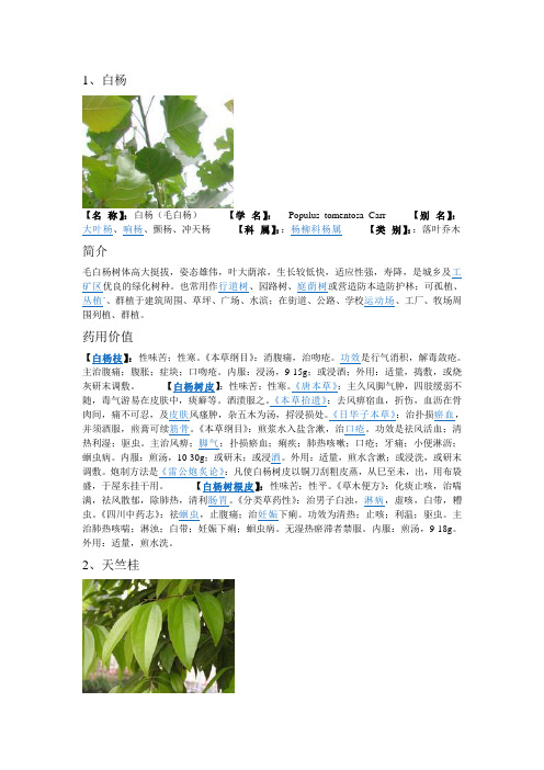 九鹏溪花木