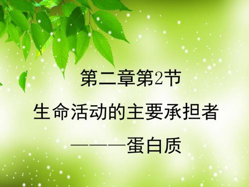 人教版高中生物必修1：第2章第2节生命活动的主要承担者---蛋白质