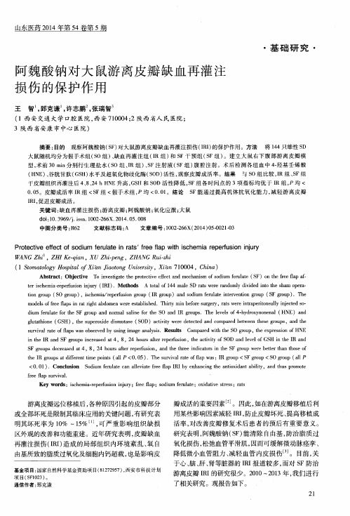 阿魏酸钠对大鼠游离皮瓣缺血再灌注损伤的保护作用
