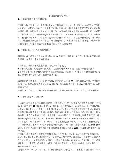 中国铝业公司安全生产安全生产