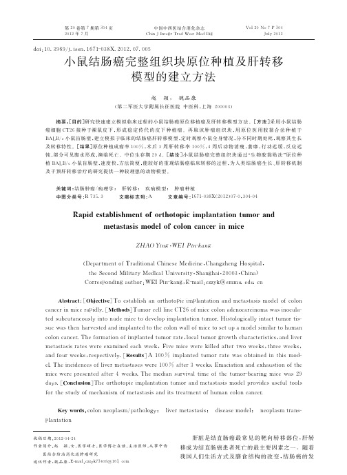 小鼠结肠癌完整组织块原位种植及肝转移模型的建立方法