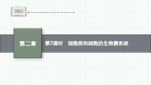 2022-2023学年 苏教版   必修一  细胞核和细胞的生物膜系统(51张)课件