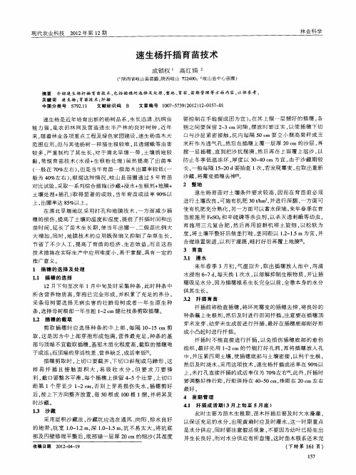速生杨扦插育苗技术