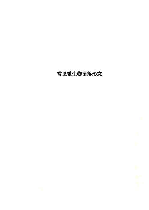 常见微生物菌落形态
