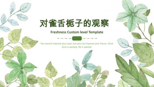 雀舌栀子开花生物学特性调查