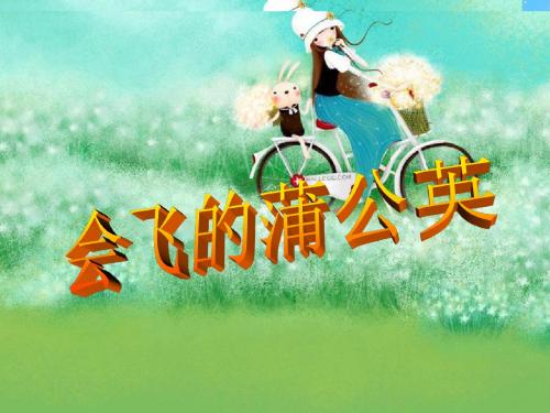 会飞的蒲公英 公开课 精品 课件