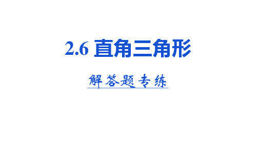 浙教版八年级数学上册2.6直角三角形解答题专练(含答案)