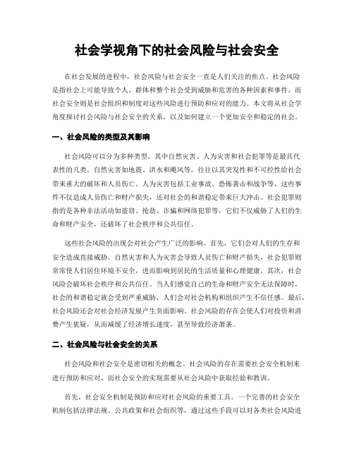 社会学视角下的社会风险与社会安全