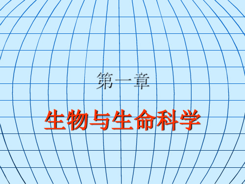 第一章绪论