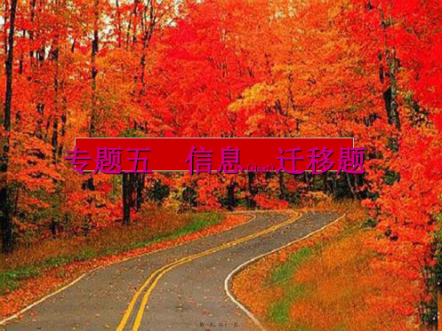 中考化学考前热点冲刺《专题五 信息迁移》(专题特点及解题策略+典例分析详解)课件 