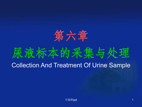 尿液标本的采集与处理