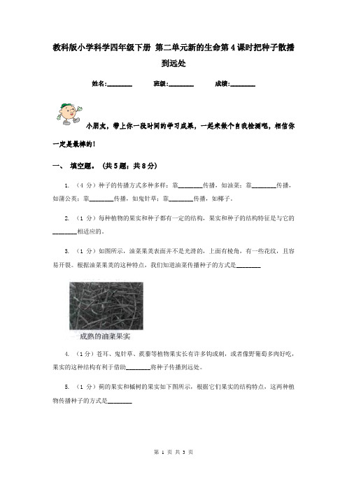 教科版小学科学四年级下册 第二单元新的生命第4课时把种子散播到远处   