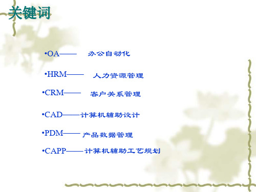 企业信息化建设技巧与案例分析