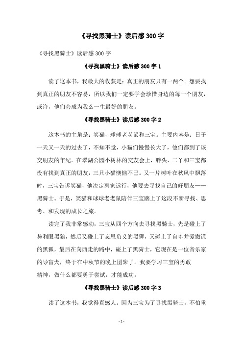 《寻找黑骑士》读后感300字
