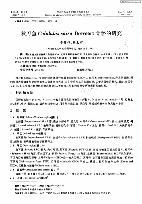 秋刀鱼Cololabis saira Brevoort骨骼的研究