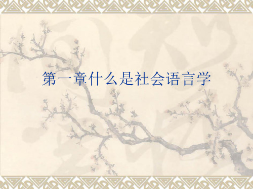 第一章 什么是社会语言学