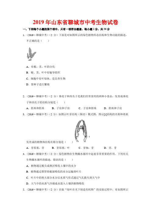 2019年山东省聊城市中考生物试卷-(含答案)