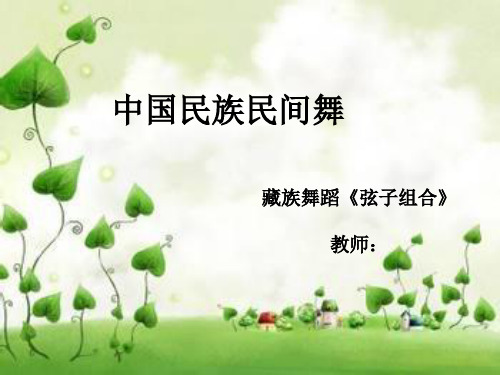 舞蹈藏族舞弦子组合