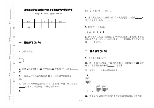 苏教版综合强化训练六年级下学期数学期末模拟试卷