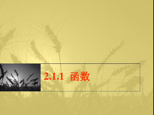2.1函数函数的概念lgd20120820